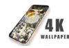 Wave Live 4K Wallpapers App