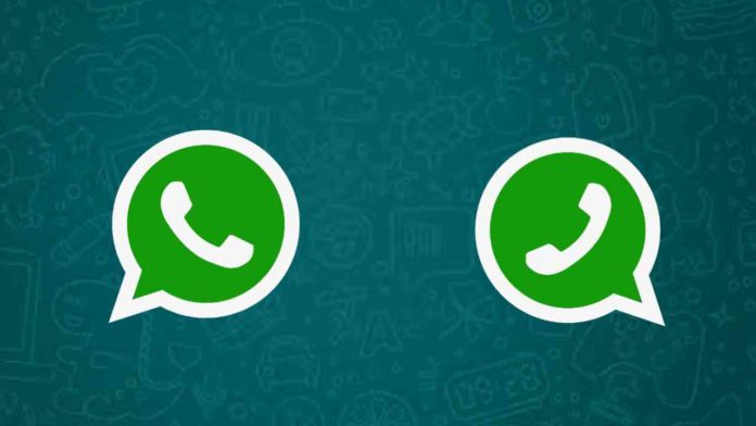 backup WhatsApp chats and restore