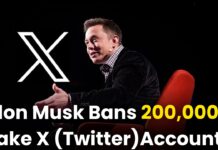 Elon Musk Takes Bold Action Against Fake X Accounts