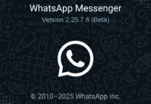 WhatsApp Business Beta 2.25.7.6