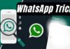 Learn all about WhatsApp Track