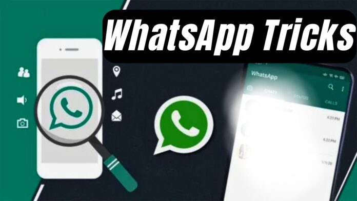 Learn all about WhatsApp Track Learn all about WhatsApp Track