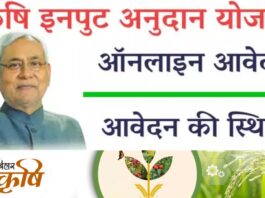 Bihar Krishi Input Subsidy