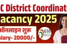 CSC District Coordinator Recruitment 2025