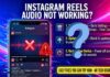 Instagram Reels Audio Not Working