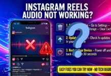 Instagram Reels Audio Not Working