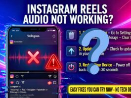 Instagram Reels Audio Not Working